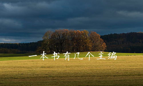 一本书有几个主编